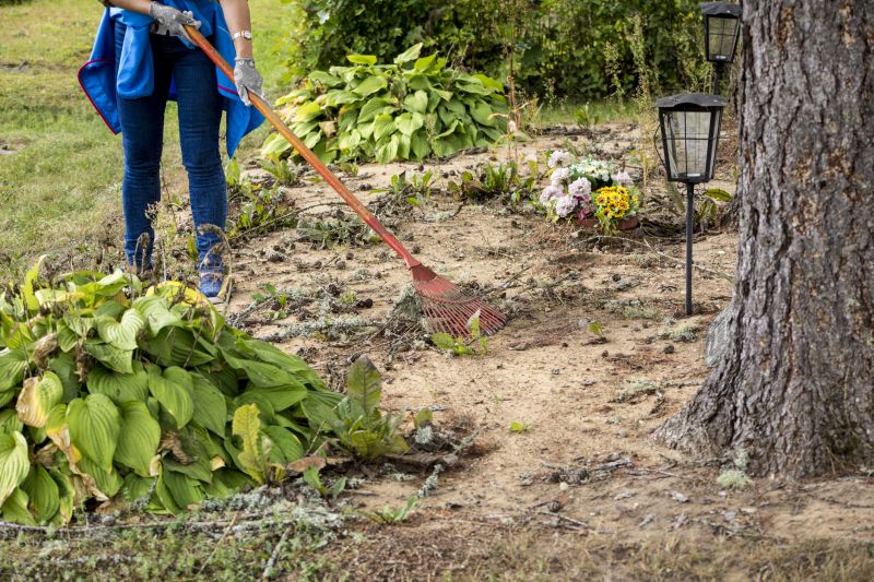 Easement Land Clearing in Utah County, UT