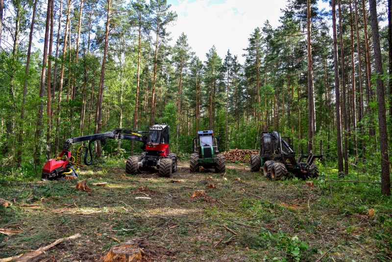Farm Clearing in Marietta, GA