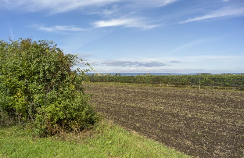 Farm Clearing in Utah County, UT