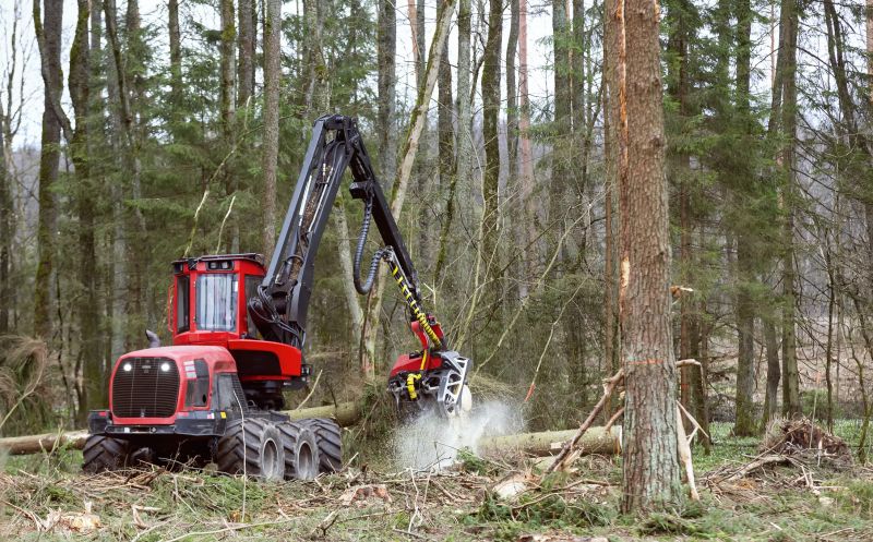Forestry Clearing in Utah County, UT