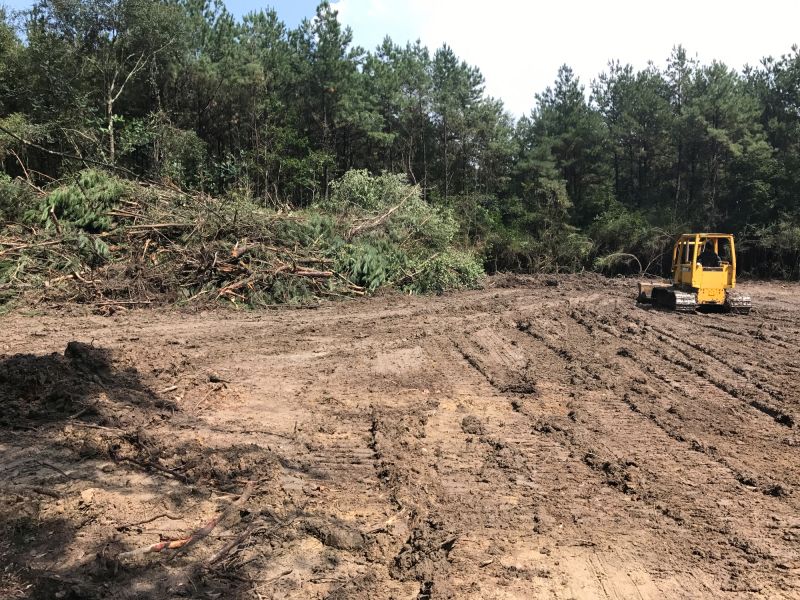 Thicket Clearing in Cumming, GA