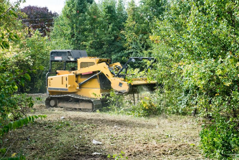 Undergrowth Removal in Cumming, GA